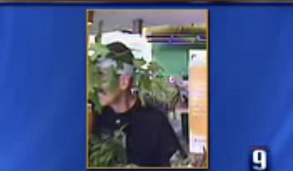 Remember When a Man Disguised as a Tree Robbed a NH Bank?