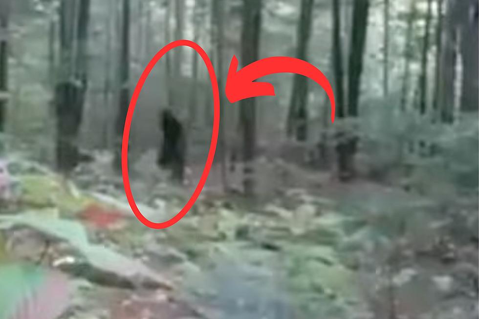 WATCH: Did New Hampshire Woman Actually Catch Bigfoot on Video?
