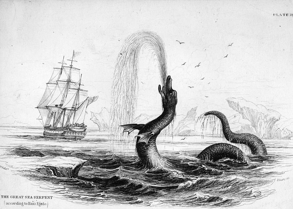Have You Seen the Sea Serpent of Gloucester, Massachusetts?