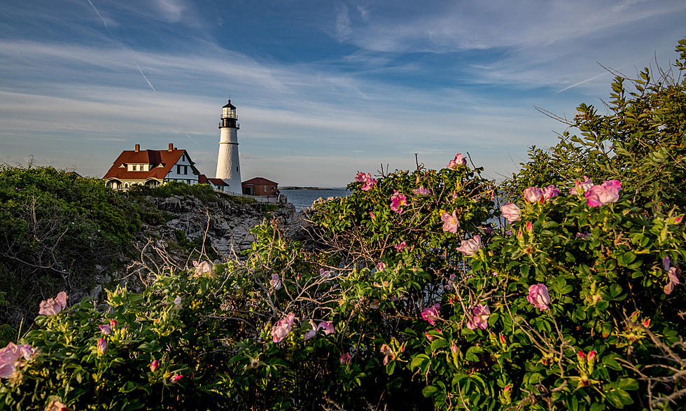 Beloved Maine Landmark Earns a Place on Major Travel List