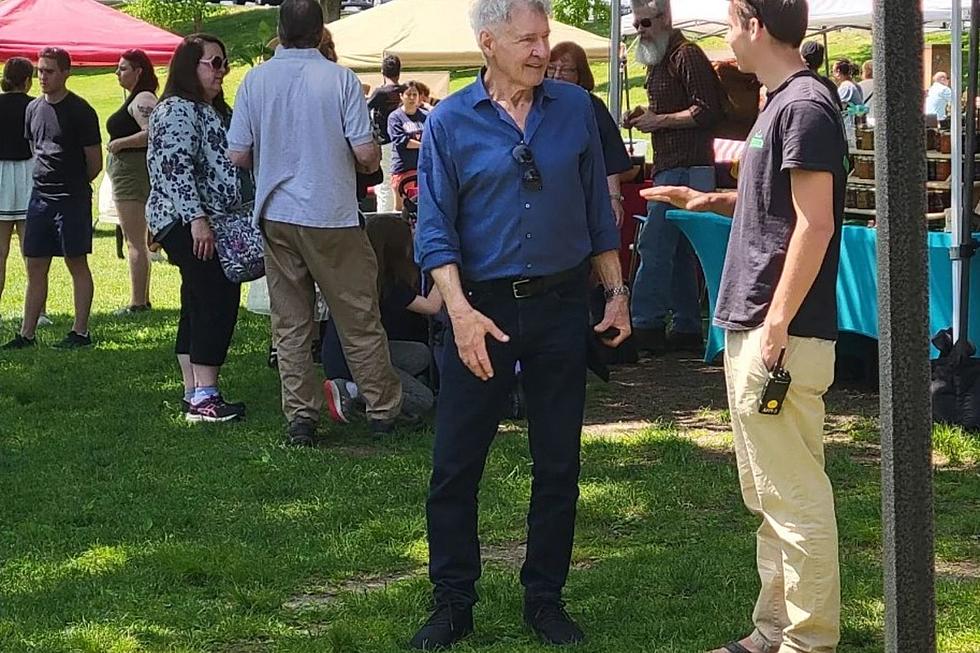 Actor Harrison Ford Spotted at a Massachusetts Farmers' Market