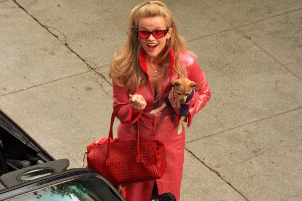 I Hope New TV Series in 'Legally Blonde' Franchise Returns to MA