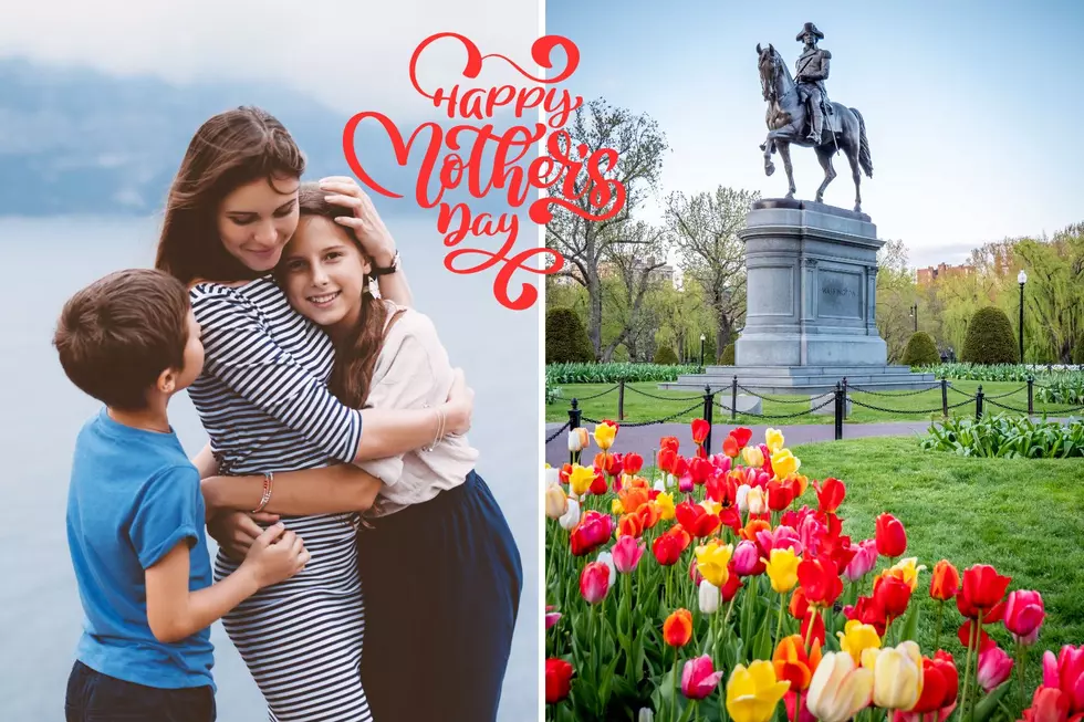 5 Things to Do for Mom in Boston, Massachusetts, on Mother's Day