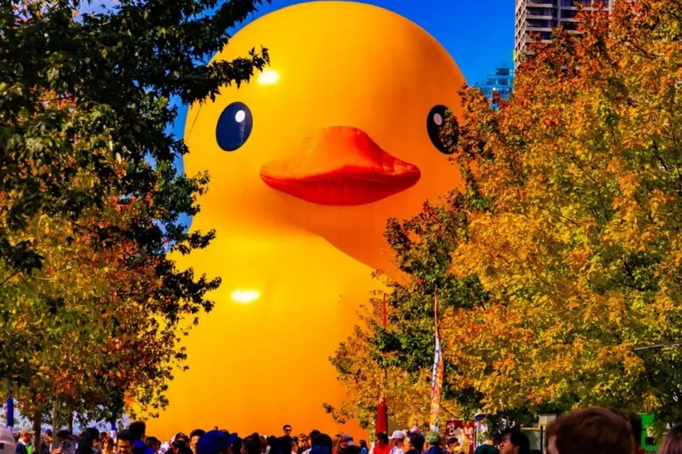 World’s Biggest Rubber Ducky Will Be Just 4 Hours Away From Boston