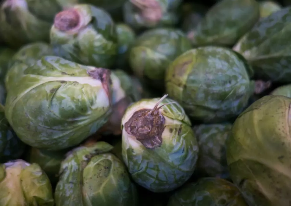 Love Them Or Hate Them, Brussels Sprouts Are Growing In New England