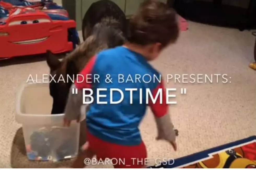 Dog Helps a Toddler with His Bedtime Routine in Adorable Video