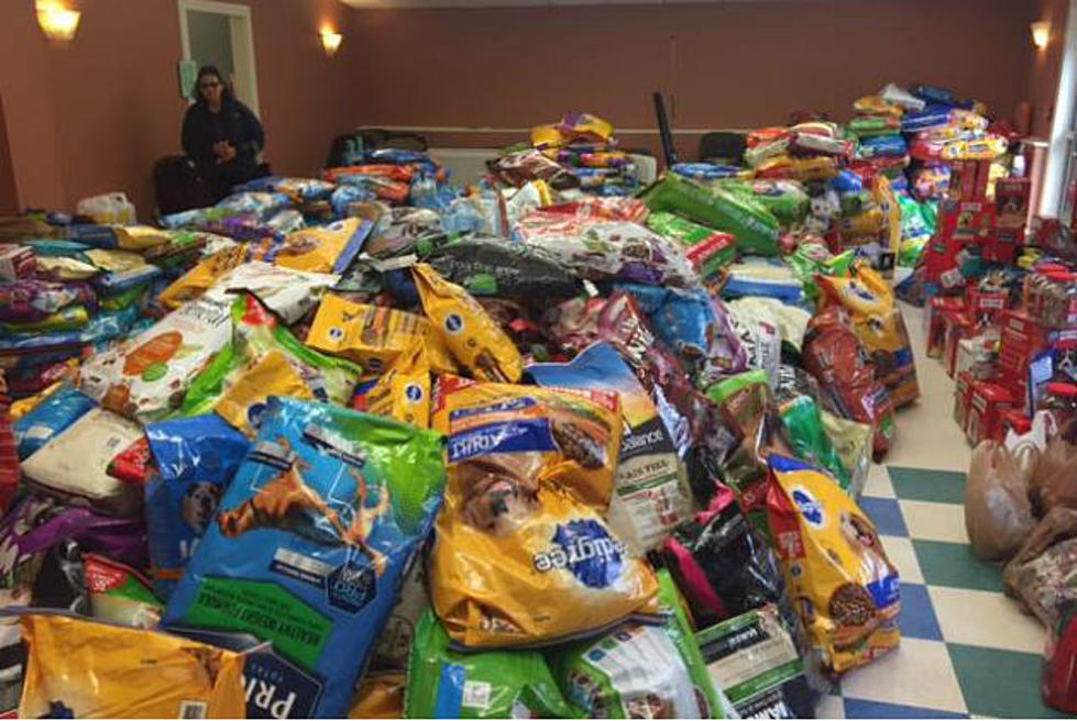 Flood of Donations Arrives After Robbery at Animal Rescue League of NH