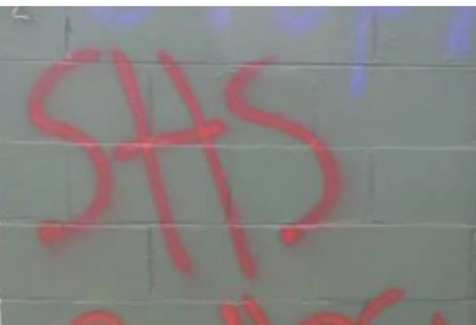 Rochester Teen Charged In Dover Graffiti Spree