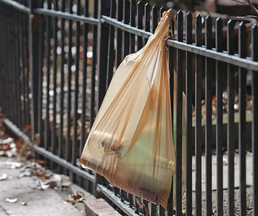 Will Portsmouth Still See A Plastic Bag Ban?