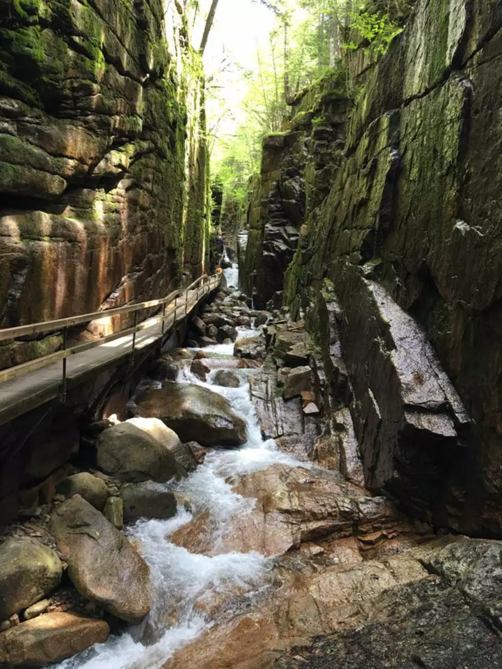 The One Hike Everyone In NH Should Take At Least Once