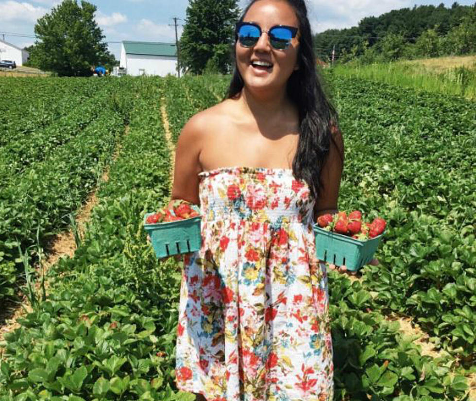 It’s Strawberry Season! Pick Your Own Mouth Watering Strawberries at These 5 NH Farms