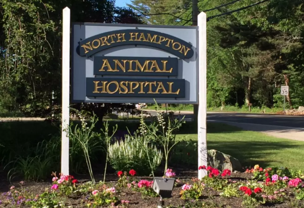 An Open Letter to North Hampton Animal Hospital