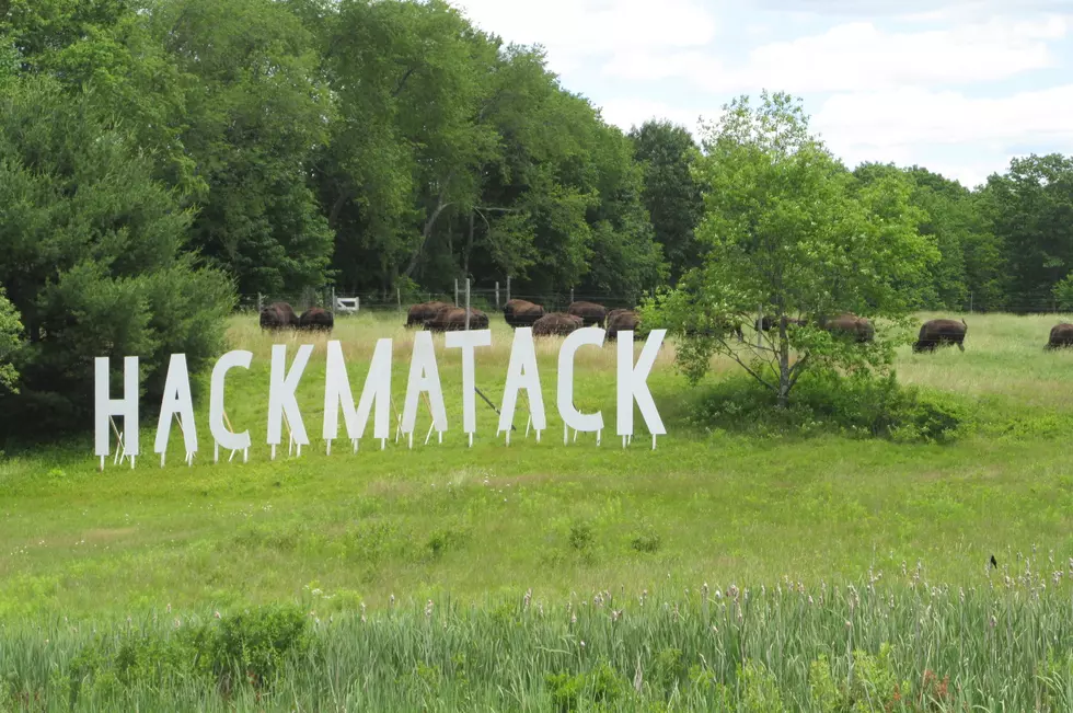 These Giant White Letters Spell &#8220;HACKMATACK&#8221;