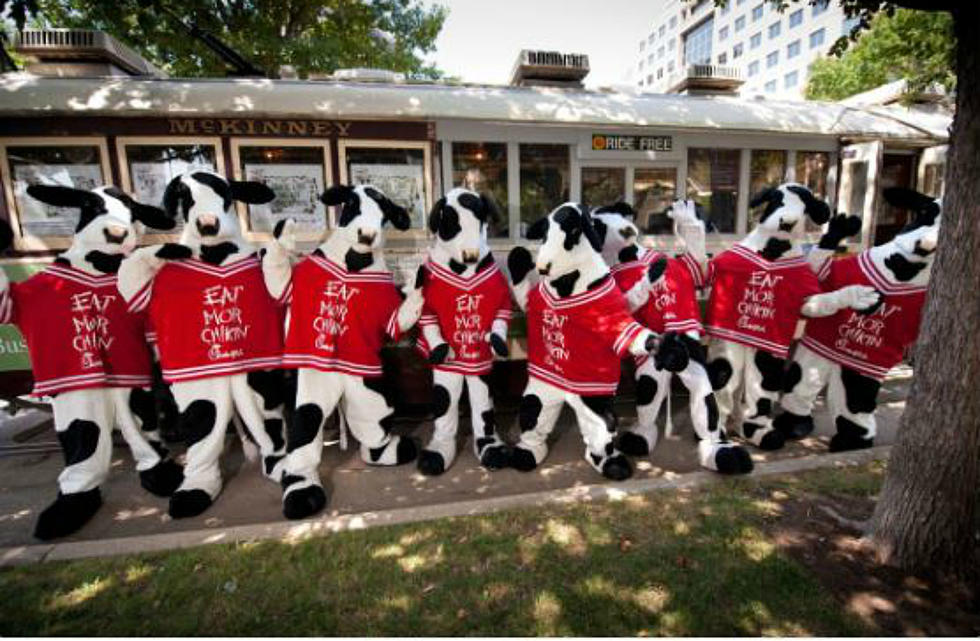 On July 11th You Can Get a Free Entree at Chick-Fil-A If You Dress Up Like a Cow
