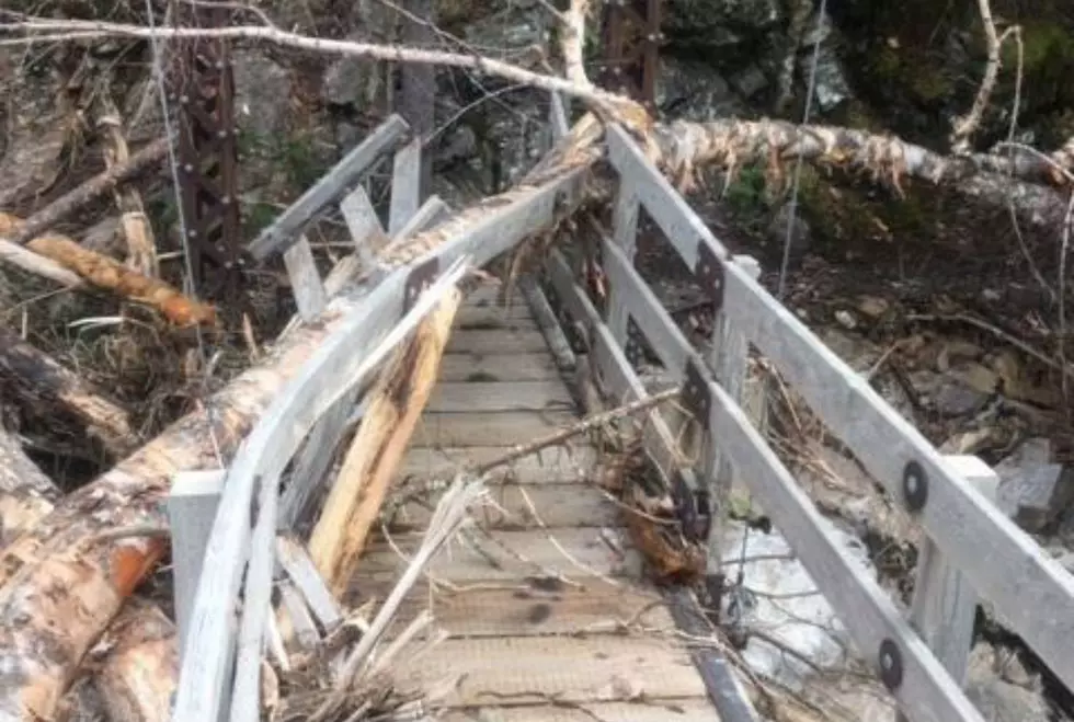 New Hampshire Hikers Wanted to Help Assess Storm Damage