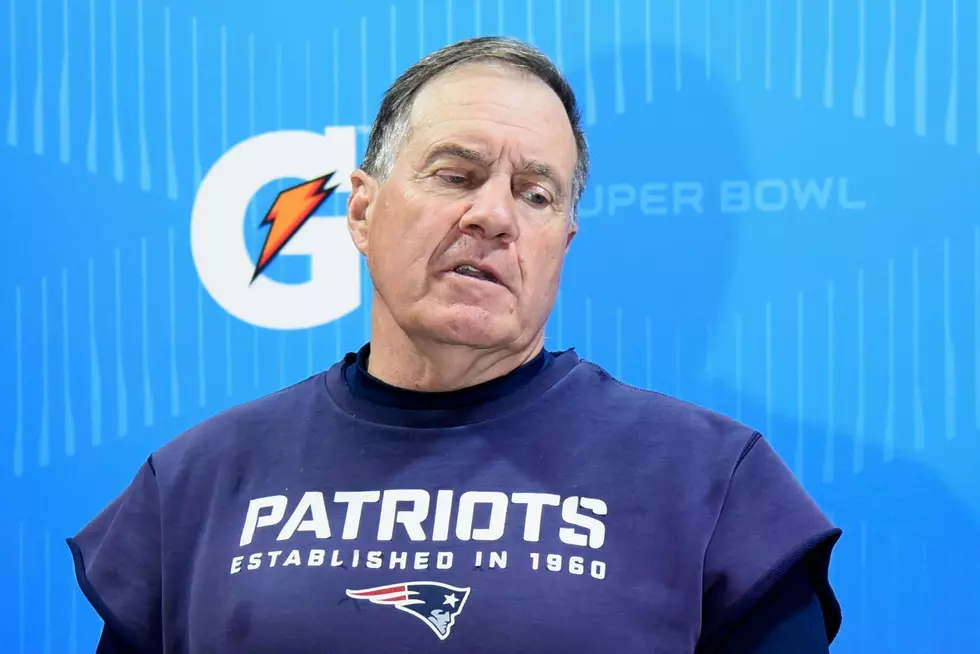 Take A Look At Patriots Head Coach Bill Belichick's New Puppy