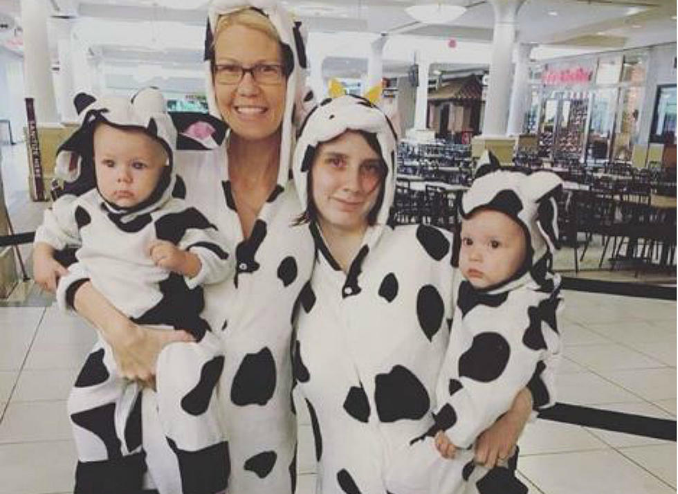 The Chick-fil-A In Nashua Wants To Reward You For Dressing Up Like A Cow