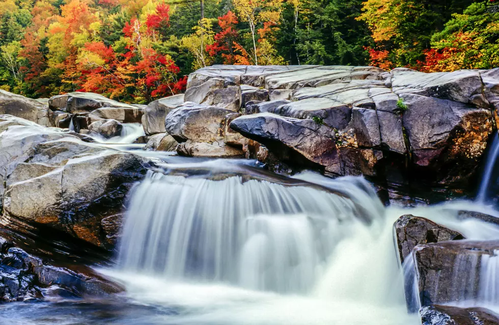 Fall Foliage Forecast for New Hampshire, Maine and Vermont