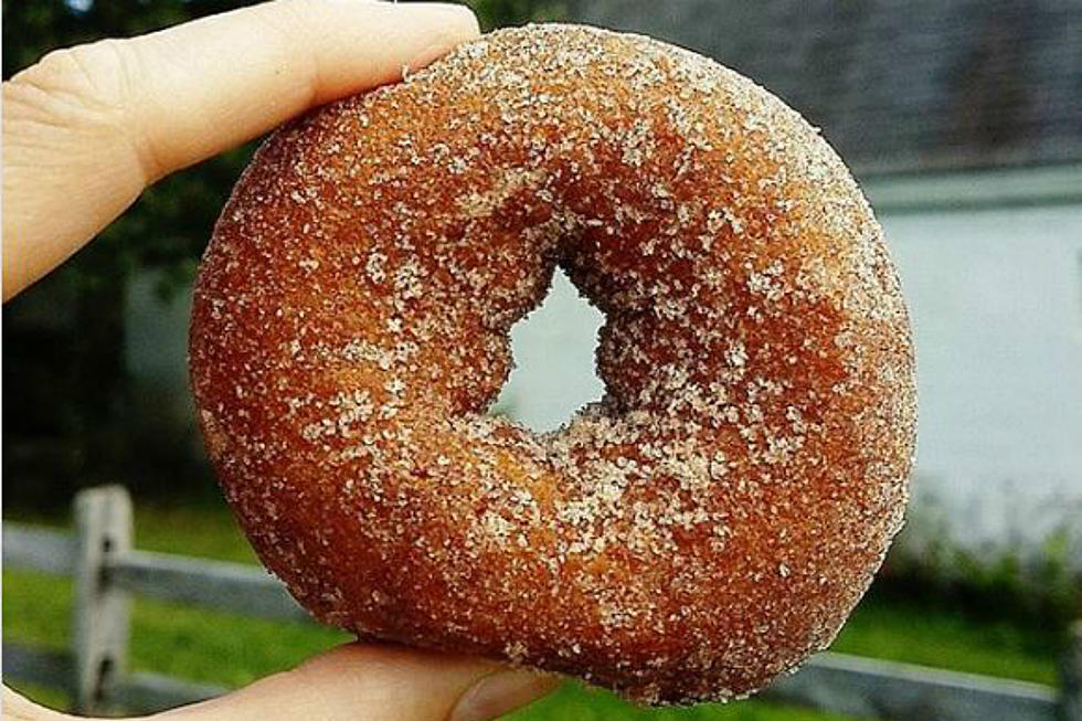 Have You Experienced The Best Apple Cider Donut in New Hampshire?
