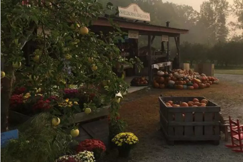 This New England Apple Orchard Was Named One Of The Best In The Country