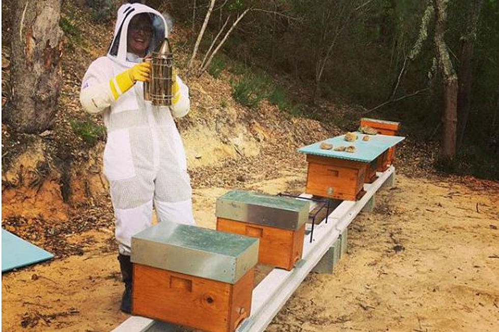 Try On A Beekeeper Suit And Tour A Honey Bee Farm In Buxton, ME