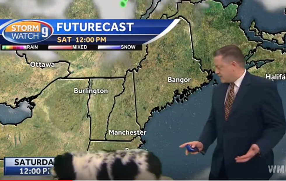 WATCH: WMUR's Josh Judge Caught Off Guard During  Weather Report