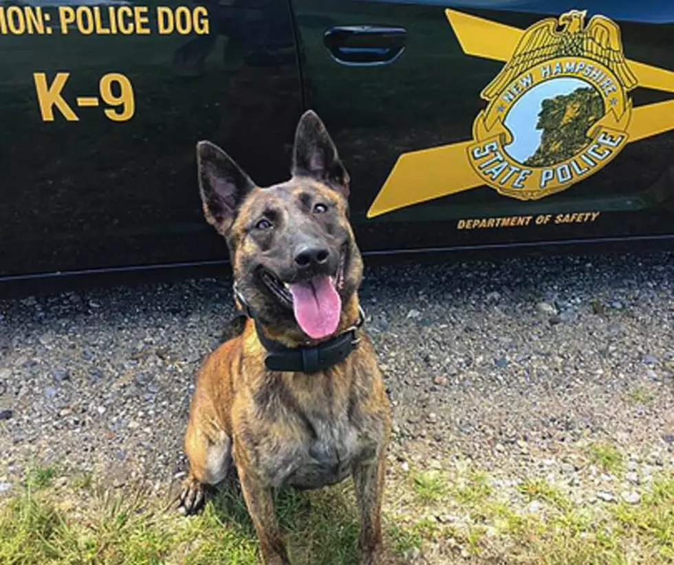 New Hampshire State Troopers Mourn Sudden Loss Of K-9 "Lola"