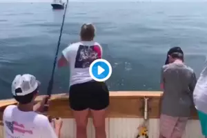 Watch Boy On Cape Cod Get The Scare Of His Life From A Shark
