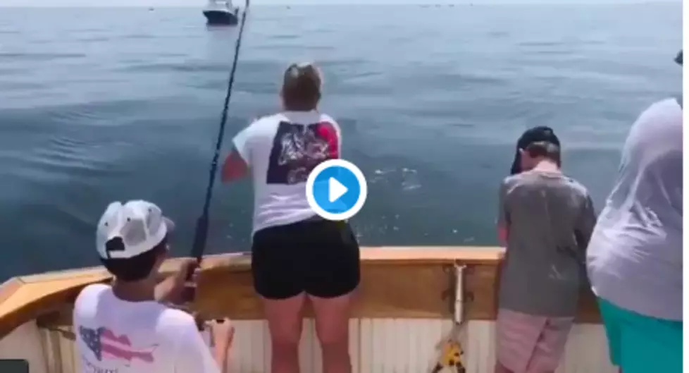 Watch Boy On Cape Cod Get The Scare Of His Life From A Shark