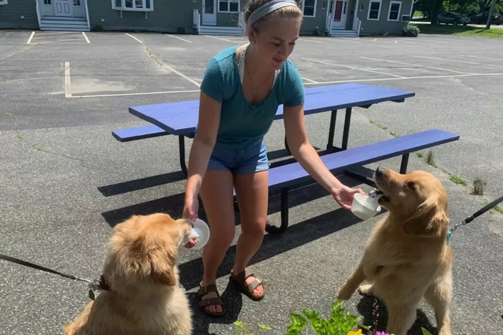 This Seacoast Ice Cream Shop Serves Up Doggie Sundaes That Will Make Your Pup’s Day