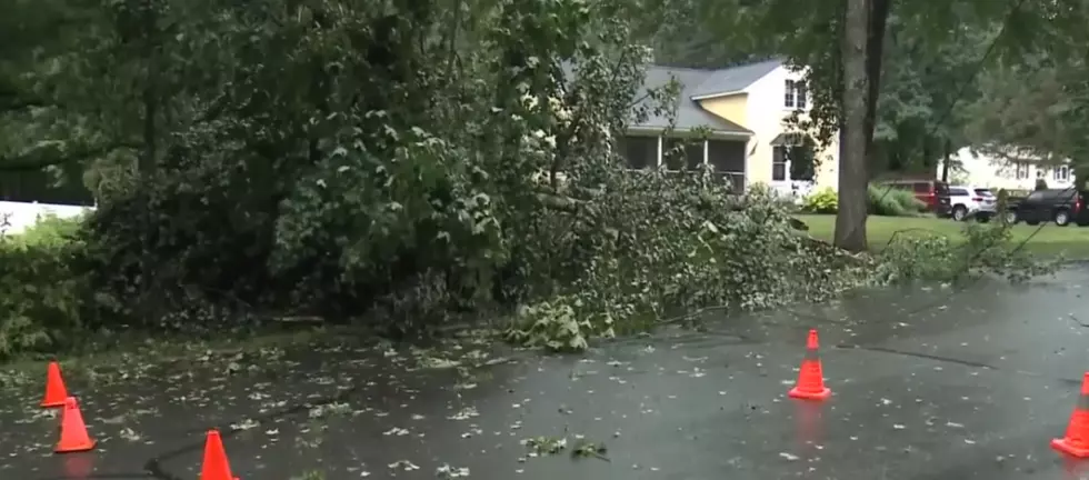Exploding Tree, Large Hail, Headline Storms Ripping Through NH