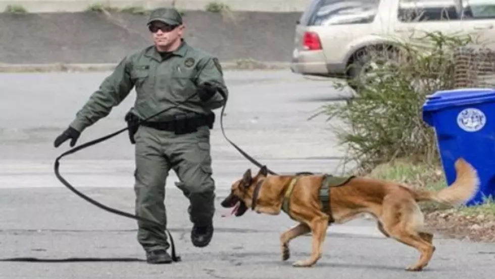 NH State Police Mourning Sudden Death of 'Ike' The K-9