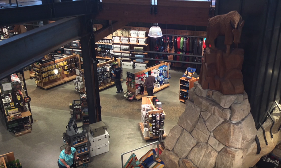 REI to Open Their First New Hampshire Location This Weekend