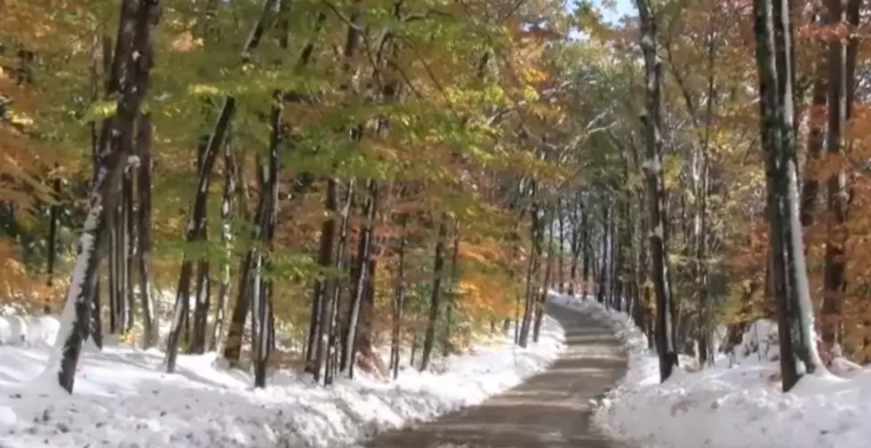 Shocktober 2011: Reliving New Hampshire's Early Season Nor'easter