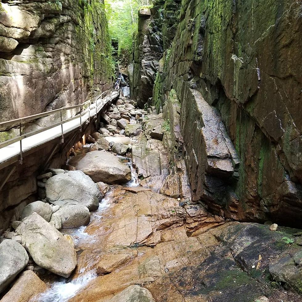 Hike an 800-foot Crack in the Ground that is Millions of Years Old in NH