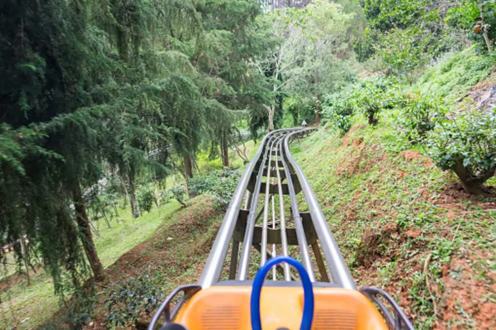 New England Man Builds Roller Coaster for his 83-Year-Old Grandpa