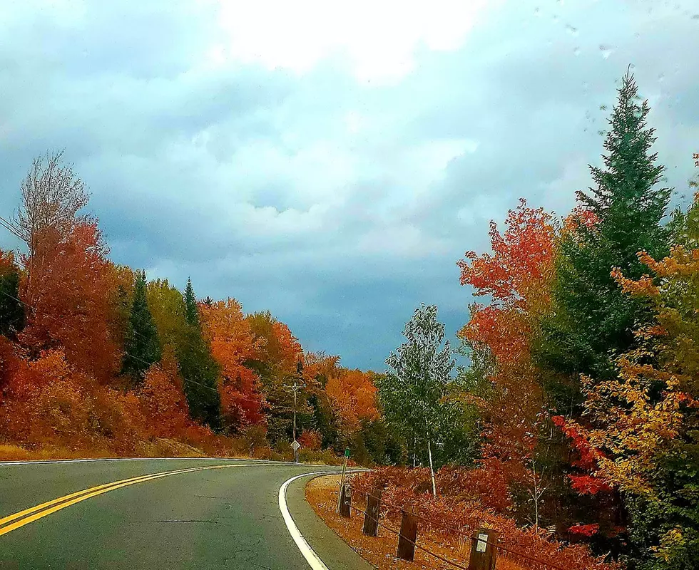 The Leaves Have Peaked in Errol, New Hampshire