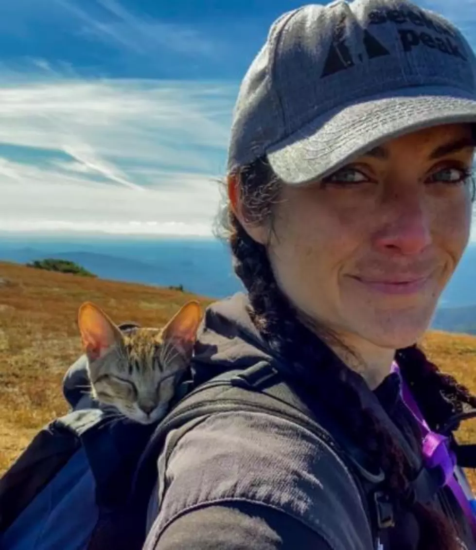 Woman Hikes NH Mountain with Her Cat on Her Back and They Both Couldn’t Look Happier