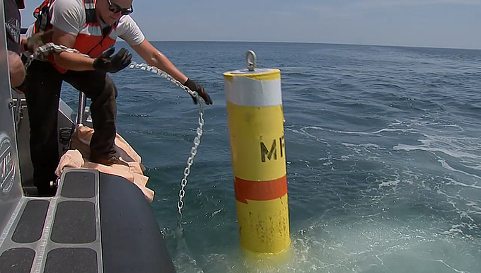 To Keep Swimmers Safe They Have Installed Yellow Buoys at  Beaches in Massachusetts