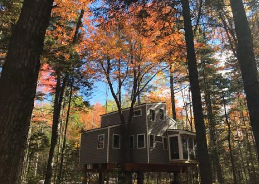 Rekindle the Joy of Being a Kid in this Luxurious Tree House in Maine