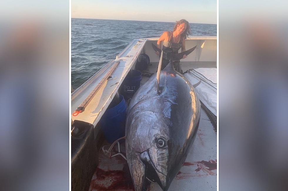 After an Epic Fish Fight Seabrook, New Hampshire, Woman Reels in a 643 Pound Bluefin