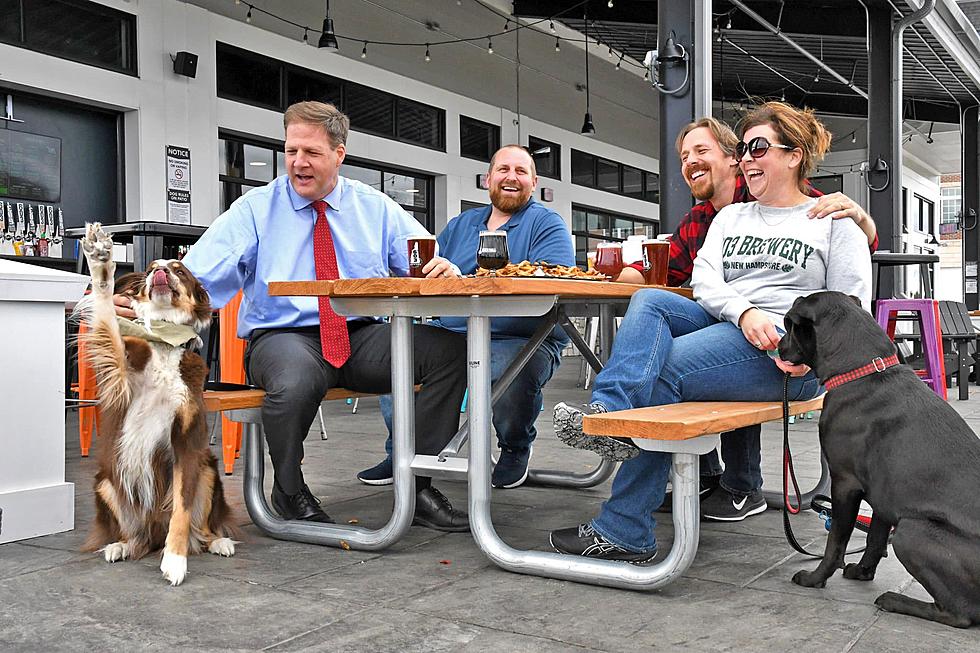 This New Law is a Victory for Dog Owners and Outdoor Eaters in New Hampshire