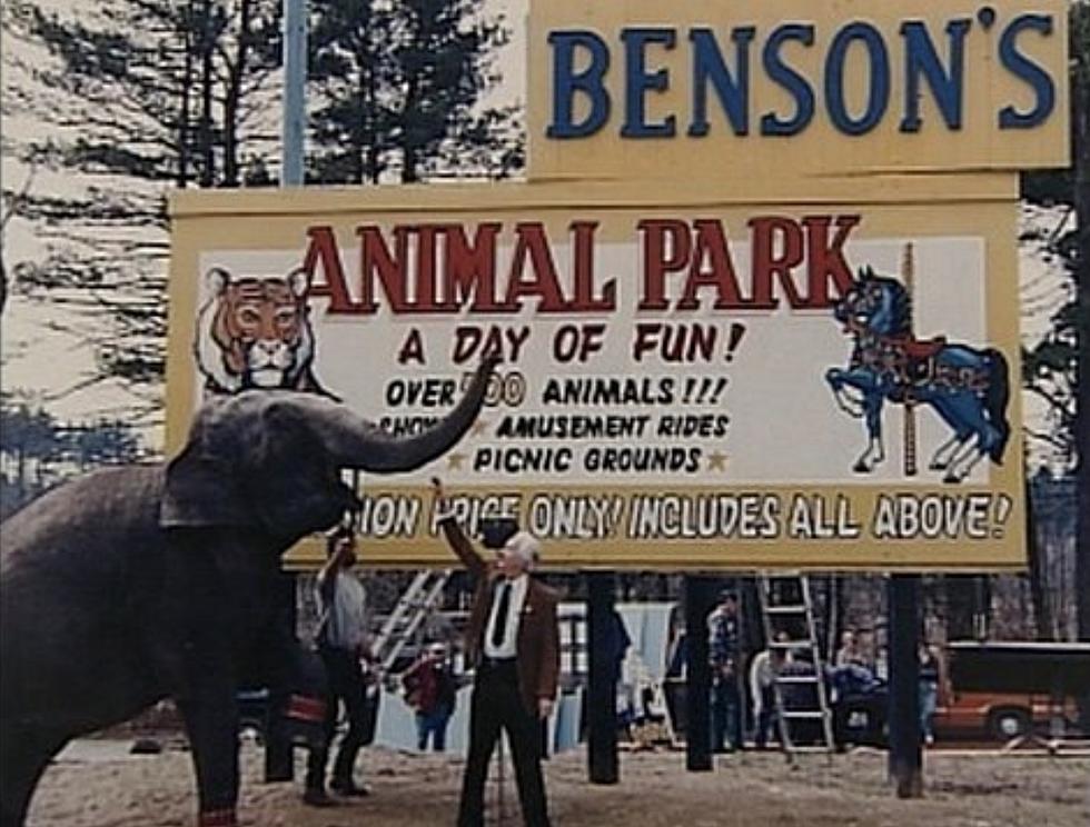 Remember Benson's Wild Animal Farm in Hudson, New Hampshire?