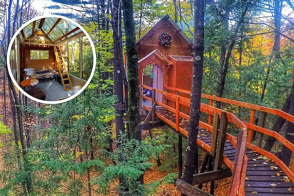 Spend the Night in This Cozy Treehouse Airbnb in Dunbarton, NH
