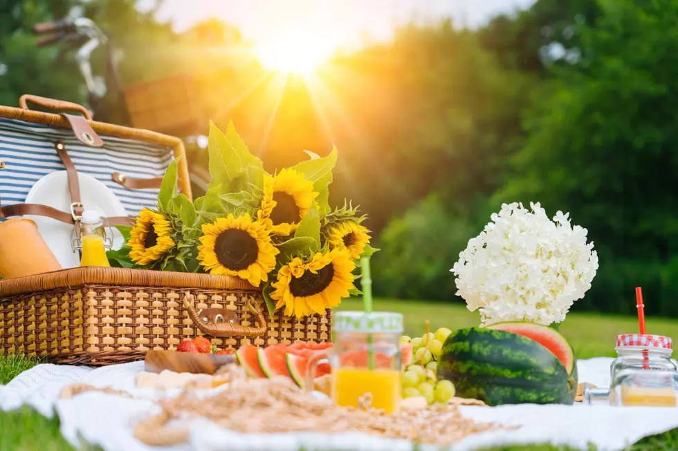 Best Places to Enjoy a Summer Picnic in New Hampshire