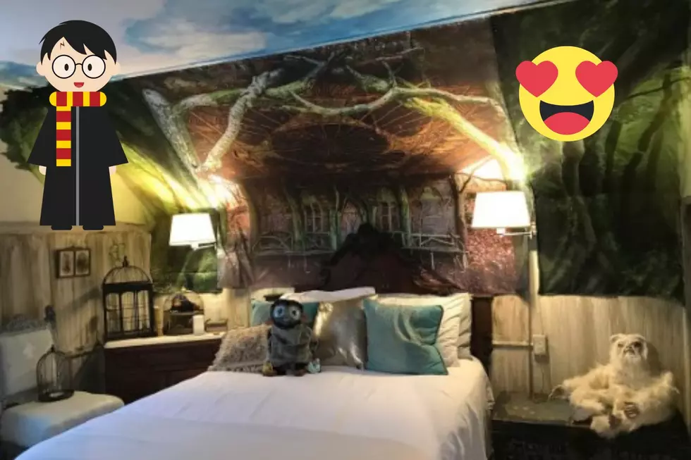 Harry Potter-Themed Airbnb in Massachusetts is an Aspiring Wizard&#8217;s Dream