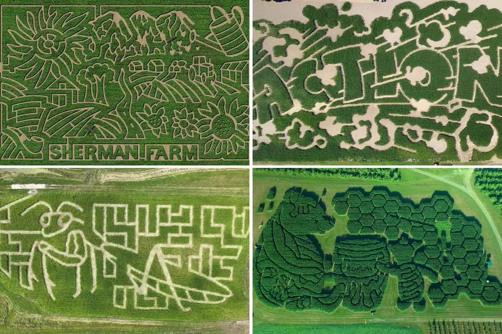 These Are 10 of the Best Corn Mazes in New England
