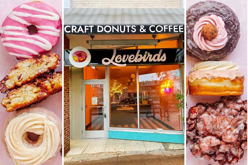 Lovebird Donuts Offering Vegan Treats at First NH Location