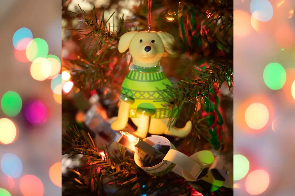 20 Must-Have Ornaments for a New England Christmas Tree