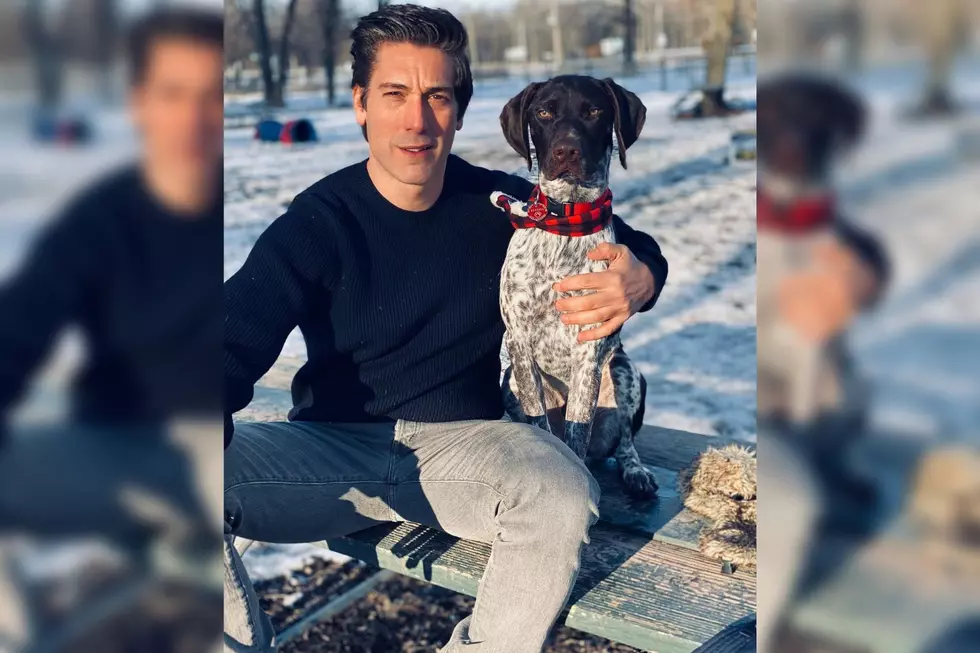 America’s Favorite: David Muir’s History With Boston is Fascinating